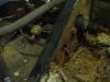DSC02055.JPG